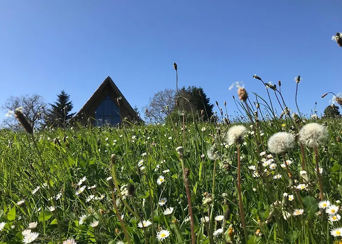 Hilltop Haven In Hébergement de vacances