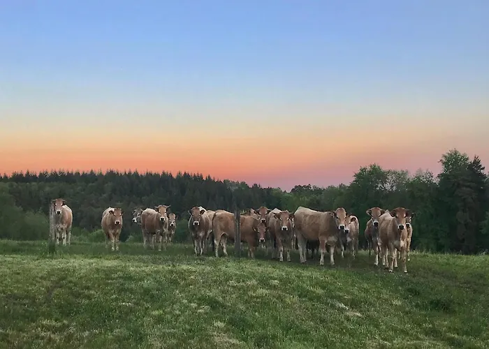 Hilltop Haven In Hébergement de vacances