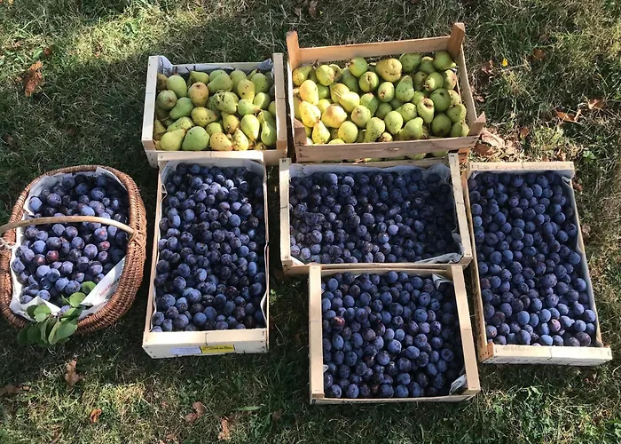 Hilltop Haven In Hébergement de vacances